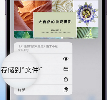 绿春apple维修中心分享iPhone文件应用中存储和找到下载文件