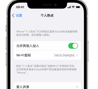 绿春apple服务站点分享iPhone上个人热点丢失了怎么办