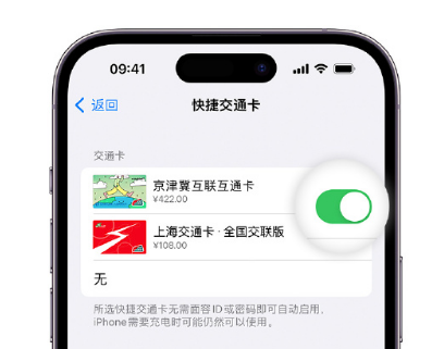 绿春apple维修点分享iPhone上更换Apple Pay快捷交通卡手绘卡面 