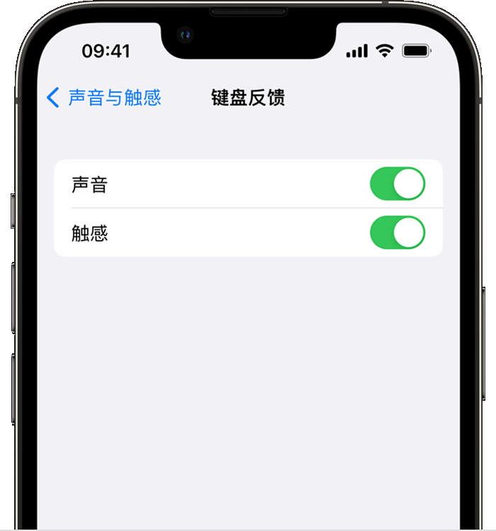 绿春苹果14维修店分享如何在 iPhone 14 机型中使用触感键盘 