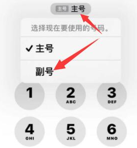 绿春苹果14维修店分享iPhone 14 Pro Max使用副卡打电话的方法 