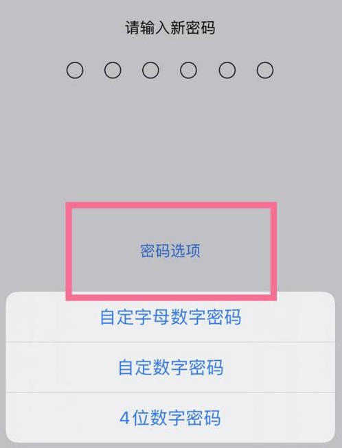 绿春苹果14维修分享iPhone 14plus设置密码的方法 