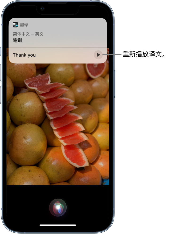 绿春苹果14维修分享 iPhone 14 机型中使用 Siri：了解 Siri 能帮你做什么 