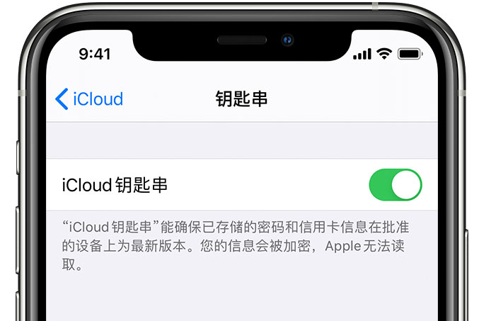 绿春苹果手机维修分享在 iPhone 上开启 iCloud 钥匙串之后会储存哪些信息 