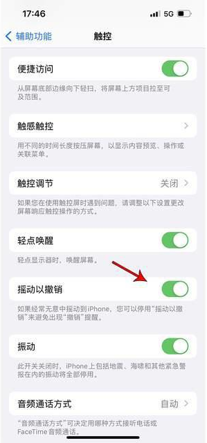 绿春苹果手机维修分享iPhone手机如何设置摇一摇删除文字 