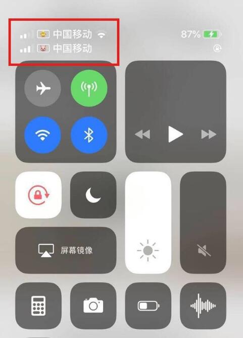 绿春苹果手机维修分享为 iPhone 12 双卡设置标签 